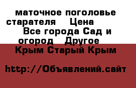 маточное поголовье старателя  › Цена ­ 3 700 - Все города Сад и огород » Другое   . Крым,Старый Крым